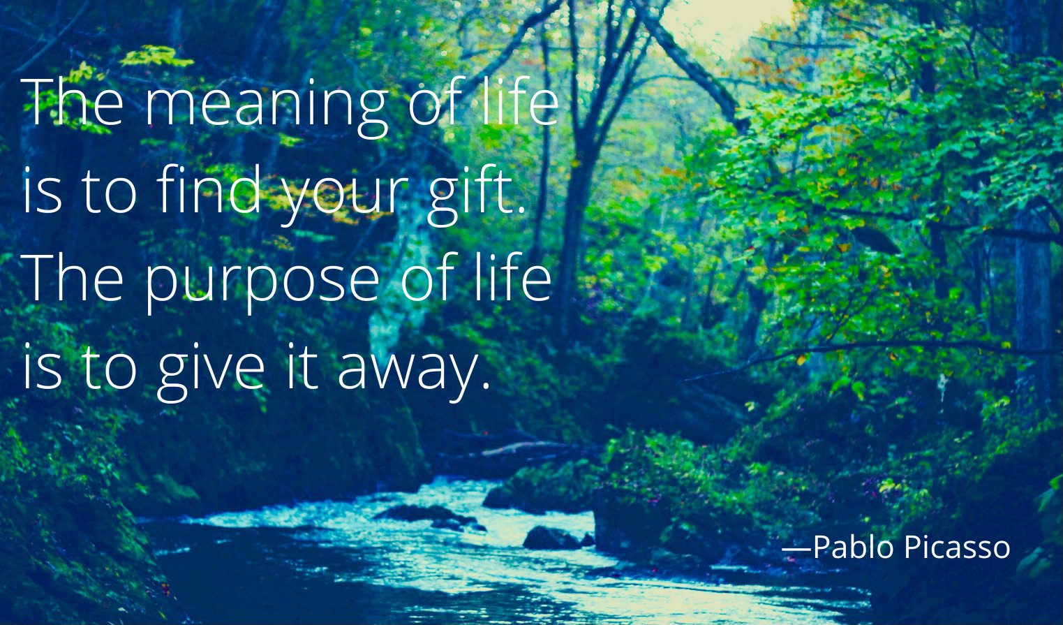 How To Find Your Spark and Purpose